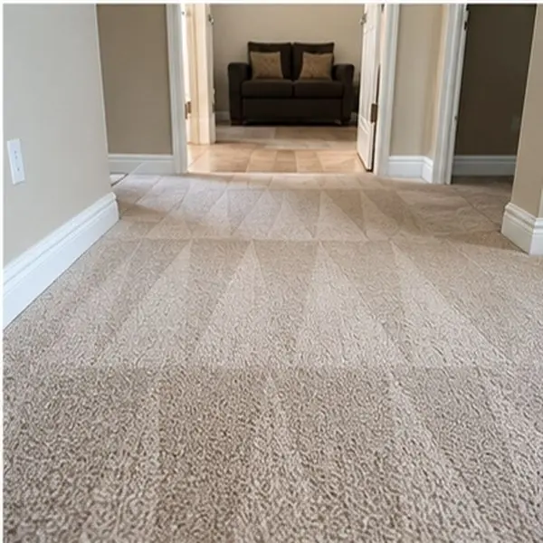 Carpet cleaning results in Sunshine VIC