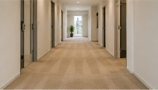 Carpet types cleaned in Sunshine